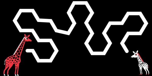 Book cover of Follow Me, Little One!, from the Baby Montessori series, with a baby red parrot following black path to an adult red parrot. Published by White Star.