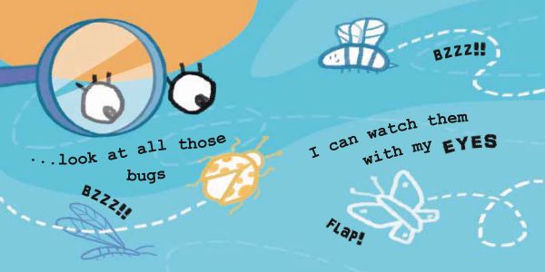 Lime green book cover of 'My Eyes are for..., Lift the Flaps and Play With Us', featuring two large white eyeballs with black lashes. Published by White Star.