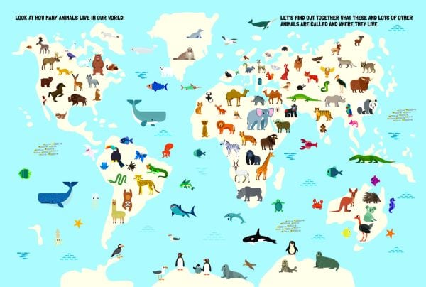 Book cover of My Huge Book of Numbers', from the 'My Huge Book' series, with six red strawberries and five blue fish. Published by White Star.