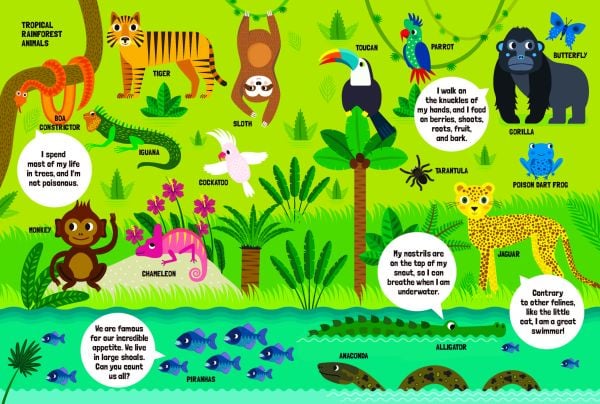 Book cover of My Huge Book of Numbers', from the 'My Huge Book' series, with six red strawberries and five blue fish. Published by White Star.