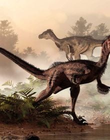 Book cover of The Ultimate Book of Dinosaurs, with a Tyrannosaurus rex striding through the jungle. Published by White Star.