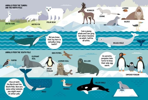 Book cover of My Huge Book of Animals, with a lion, giraffe, baboon, rhino, wild boar, and porcupine. Published by White Star.