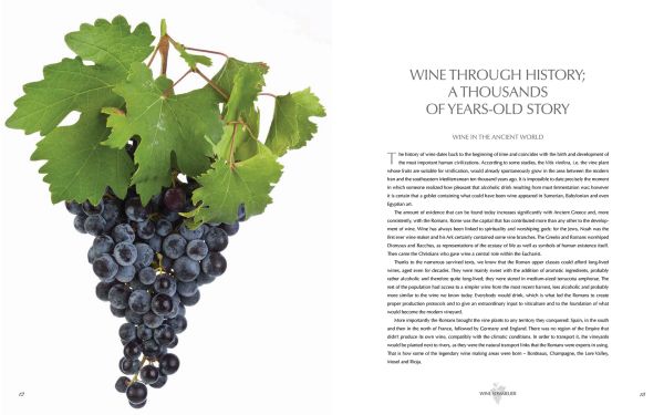 Book cover of Wine Sommelier, A Journey Through the Culture of Wine, with a glass with red wine being swirled around. Published by White Star.