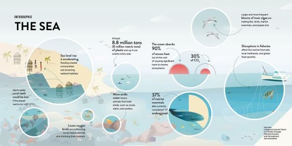 Book cover of The Sea, A World to Preserve, with Salento beach area with bright blue water and rocky coast. Published by White Star.