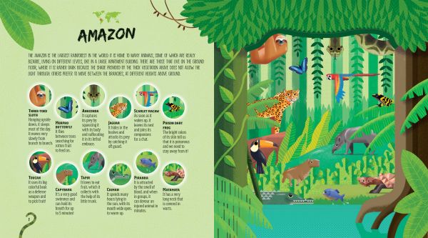 Book cover of Hidden Jungle Spotlight Book, with green bamboo, palm leaves and ferns, gorilla hiding, with a parrot flying overhead. Published by White Star.