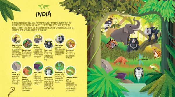 Book cover of Hidden Jungle Spotlight Book, with green bamboo, palm leaves and ferns, gorilla hiding, with a parrot flying overhead. Published by White Star.