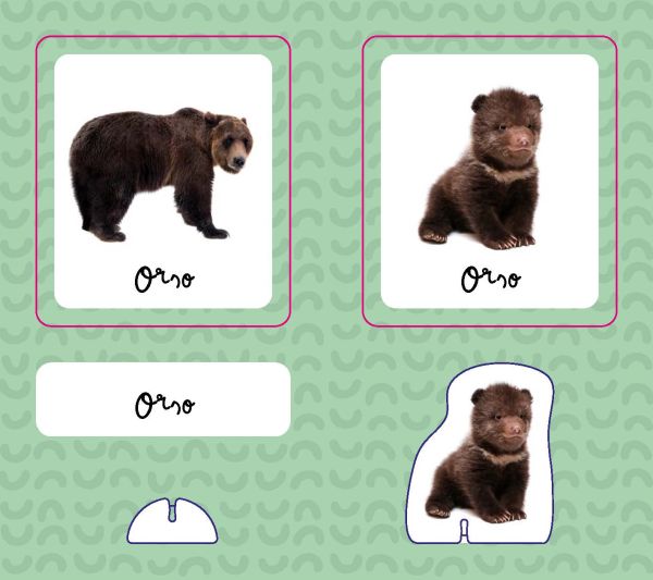 Activity box of Animemory: Thinkin, with two game cards: one with lion, one with a lion cub. Published by White Star.