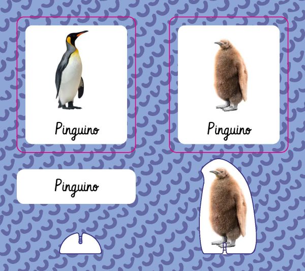 Activity box of Animemory: Thinkin, with two game cards: one with lion, one with a lion cub. Published by White Star.