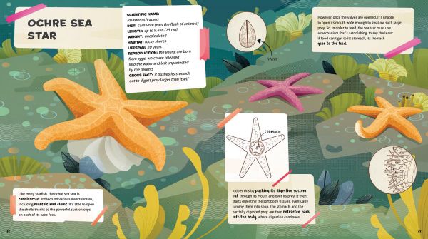 Book cover of Weird and Wonderful Gross Animals, with a giraffe with a long grey tongue. Published by White Star.