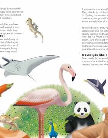 Book cover of 200 Q&As About Animals, with a zebra, giraffe, gorilla, snake and line of penguins. Published by White Star.