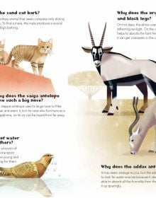 Book cover of 200 Q&As About Animals, with a zebra, giraffe, gorilla, snake and line of penguins. Published by White Star.