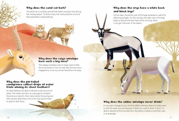 Book cover of 200 Q&As About Animals, with a zebra, giraffe, gorilla, snake and line of penguins. Published by White Star.