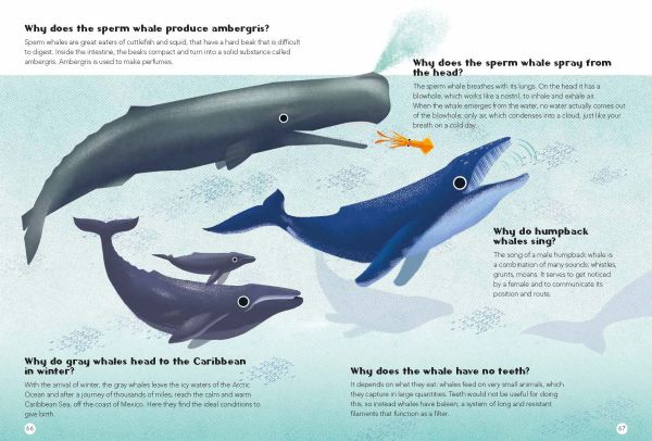 Book cover of 200 Q&As About Animals, with a zebra, giraffe, gorilla, snake and line of penguins. Published by White Star.