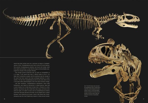 Book cover of Dinosaurs, Profiles from a Lost World, with two species of dinosaur. Published by White Star.