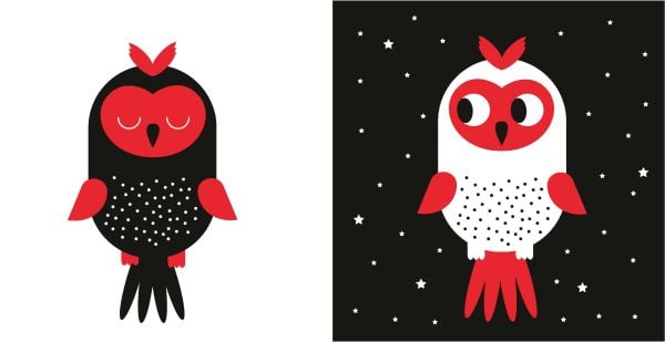 Book cover of From Day to Night, Baby's First Library, with a black owl, white cloud on red sun, and a black house. Published by White Star.