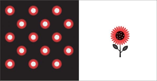 Book cover of Opposites, Baby's First Library, with a long red limousine, a red fish in bowl of black water, and a black car. Published by White Star.