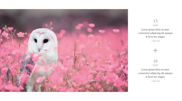 Book cover of 365 Thoughts for Daily Meditation, with a yacht with red sails floating on a calm sea. Published by White Star.