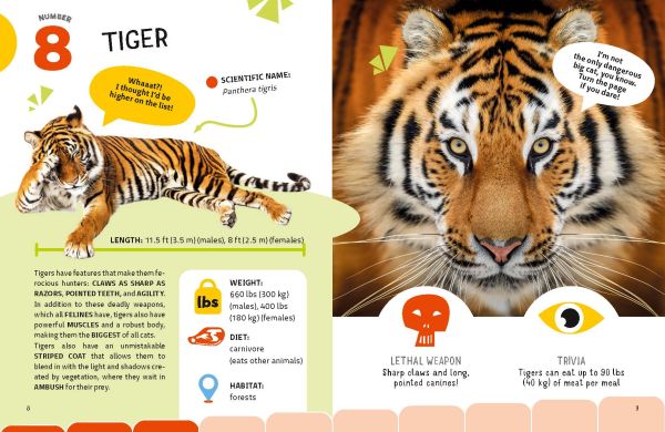 Book cover of The Top Ten: Most Dangerous Animals, with a hippo with its jaws open, a tiger, snake, spider, and venomous frog. Published by White Star.