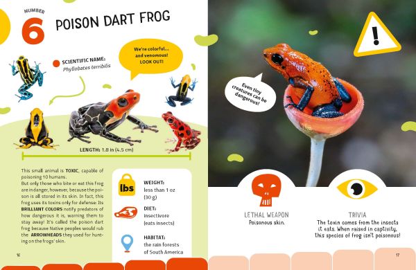 Book cover of The Top Ten: Most Dangerous Animals, with a hippo with its jaws open, a tiger, snake, spider, and venomous frog. Published by White Star.