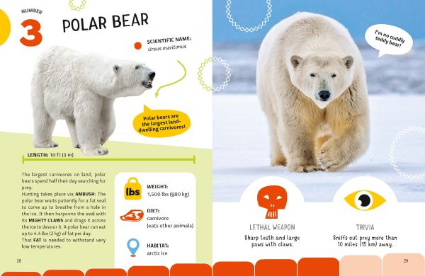 Book cover of The Top Ten: Most Dangerous Animals, with a hippo with its jaws open, a tiger, snake, spider, and venomous frog. Published by White Star.