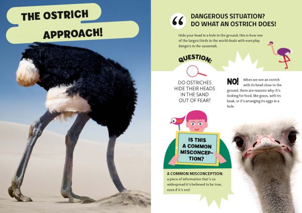 Book cover of Mythbuster, With tons of QUIZZES to test yourself against FAKE NEWS! Astronaut, with an ostrich, a yawning cat and a golden statue of Tutankhamun. Published by White Star.