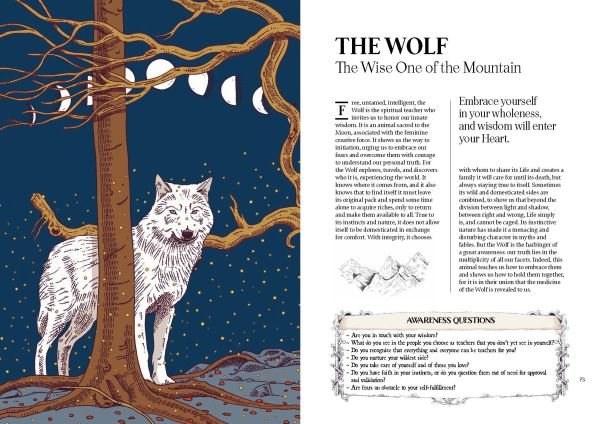 Book cover of Healing Animals, Wolves, Foxes, Owls, and Other Wild Archetypal Animals that Inhabit Our Psyche, with a brown deer surrounded by blue trees and butterflies. Published by White Star.