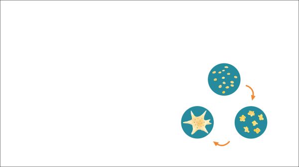 Book cover of My First Microscope: Turn the Wheel to Zoom in! with a child drawing an ant which has been enlarged under a microscope. Published by White Star.