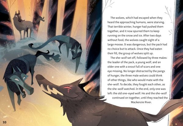 Book cover of White Fang: Inspired by the Masterpiece by Jack London, with grey wolf peering through green foliage. Published by White Star.