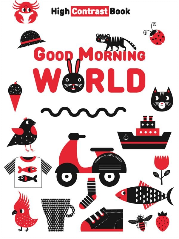 Good Morning World High Contrast Book Good Morning World High Contrast Book
