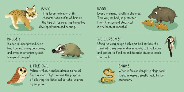 Activity box with rope handle of Forests: Search and Find Jigsaw Puzzle, featuring a forest scene with a moose, bat, owl, fox, rabbit, and others. Published by White Star.