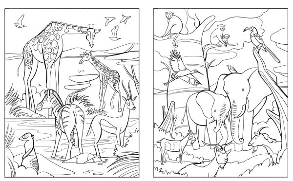 Book cover of Animals: Coloring Book, with a giraffe, lion, monkey, toucan and parrot. Published by White Star.