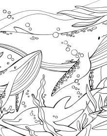 Book cover of Animals: Coloring Book, with a giraffe, lion, monkey, toucan and parrot. Published by White Star.