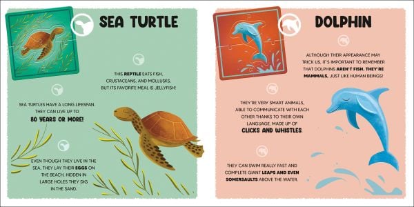 Activity box of The Ocean, with a purple octopus, whale, blue dolphin and starfish. Published by White Star.