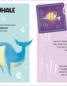 Activity box of The Ocean, with a purple octopus, whale, blue dolphin and starfish. Published by White Star.