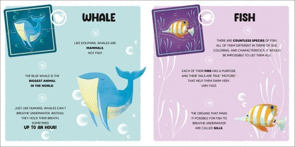 Activity box of The Ocean, with a purple octopus, whale, blue dolphin and starfish. Published by White Star.