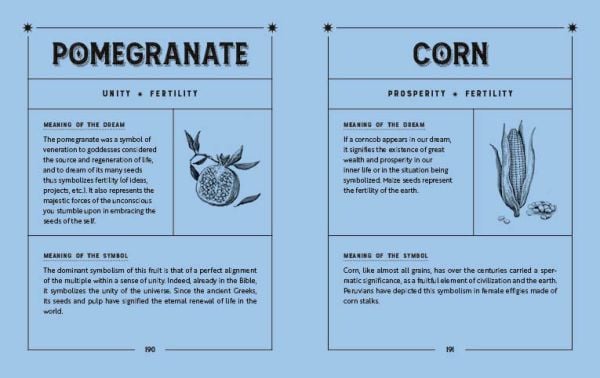 Book cover of Easy Dreams: 300 Symbols for Understanding Your Dreams, with a bottle of navy liquid with a crescent moon inside. Published by White Star.