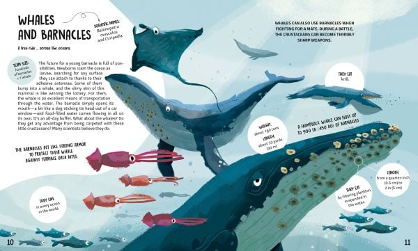 Book cover of Teamwork: Learning from Animals, with a group of jungle animals. Published by White Star.