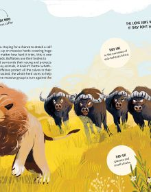 Book cover of Teamwork: Learning from Animals, with a group of jungle animals. Published by White Star.