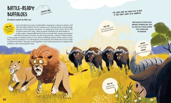 Book cover of Teamwork: Learning from Animals, with a group of jungle animals. Published by White Star.