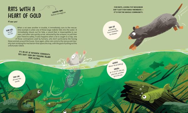 Book cover of Teamwork: Learning from Animals, with a group of jungle animals. Published by White Star.