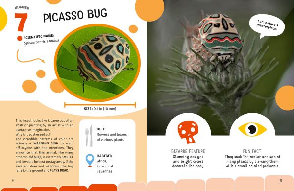 Book cover of The Top Ten: Weirdest Bugs, with a pink orchid mantis. Published by White Star.