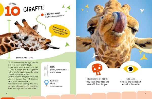 Book cover of The Top Ten: Grossest Animals, with a giraffe sticking its tongue out, alongside a koala, and a skunk. Published by White Star.