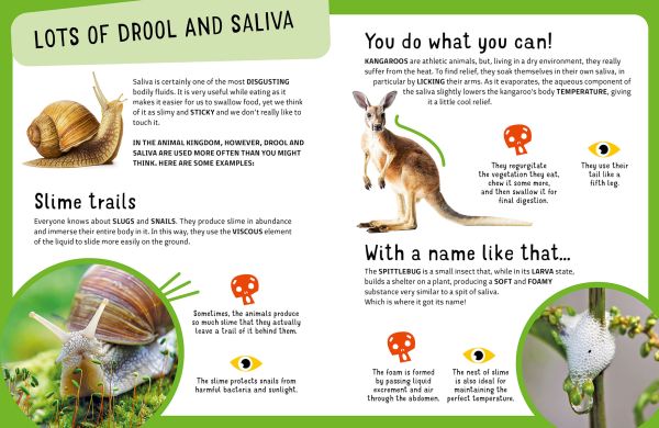 Book cover of The Top Ten: Grossest Animals, with a giraffe sticking its tongue out, alongside a koala, and a skunk. Published by White Star.