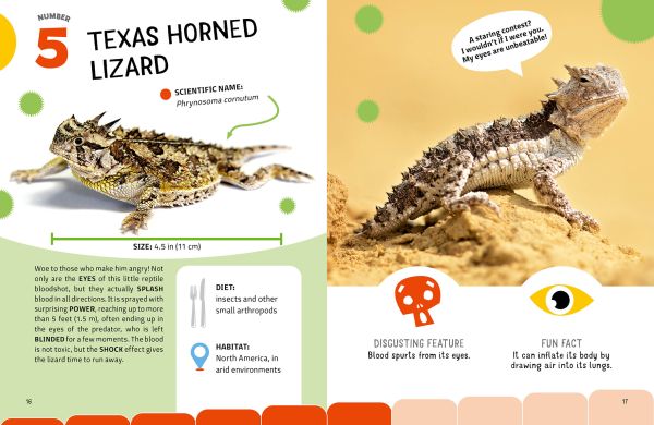 Book cover of The Top Ten: Grossest Animals, with a giraffe sticking its tongue out, alongside a koala, and a skunk. Published by White Star.