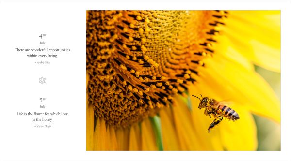 Book cover of 365 Thoughts of Harmony with the Seasons, featuring an aerial view of river snaking through landscape of orange, autumn trees and snow-covered foliage. Published by White Star.
