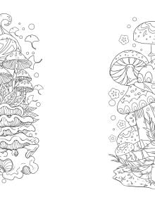 Book cover of Magical Nature: Colouring Book, featuring a bright coloured field of roses and mushrooms. Published by White Star.