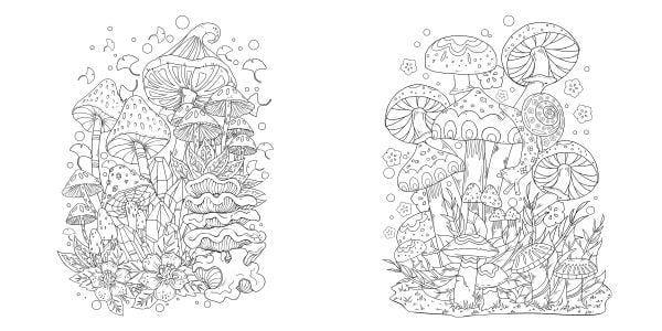 Book cover of Magical Nature: Colouring Book, featuring a bright coloured field of roses and mushrooms. Published by White Star.