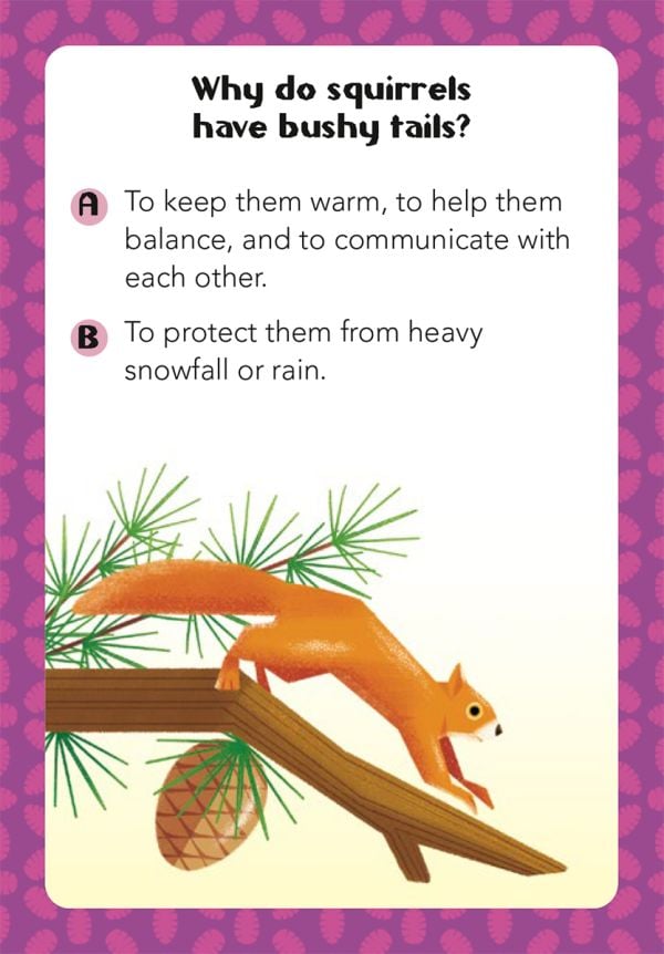 Box of Animals: 100 Q&As, featuring wild animals: an elephant, lion, giraffe, parrot, crab and tiger. Published by White Star.