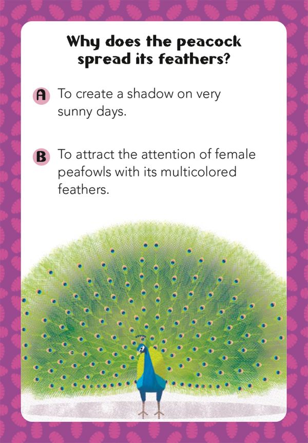 Box of Animals: 100 Q&As, featuring wild animals: an elephant, lion, giraffe, parrot, crab and tiger. Published by White Star.