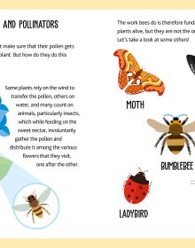 Activity box of Eco-Play Bees! Over 20 Boardgames in a Travel Size Box, with bees, honeycomb and honey pots. Published by White Star.